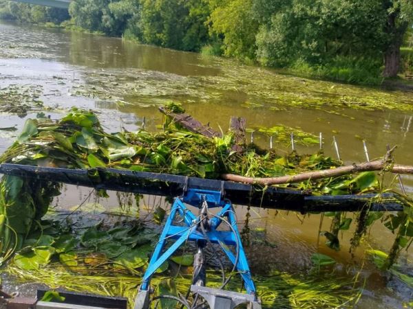 В Красногорске приступили к расчистке Москвы-реки