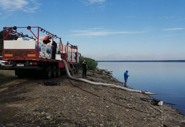 В Енисей выпустили почти 230 тысяч особей сибирского осетра