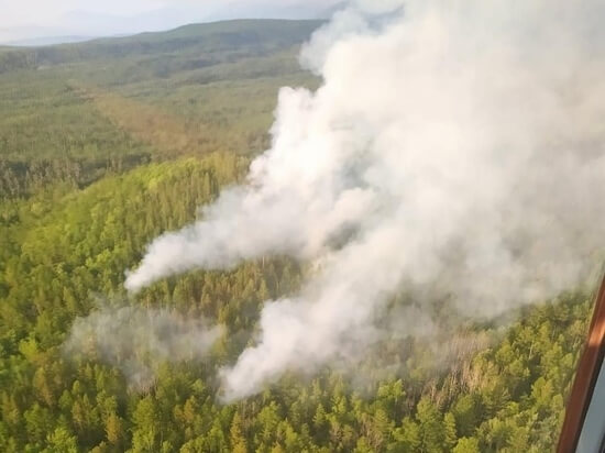 В Бурятии введен режим ЧС из-за природных пожаров