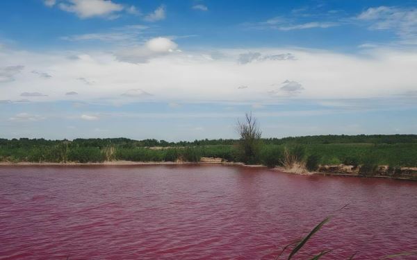 В Волгоградской области обнаружены незаконные пруды-накопители