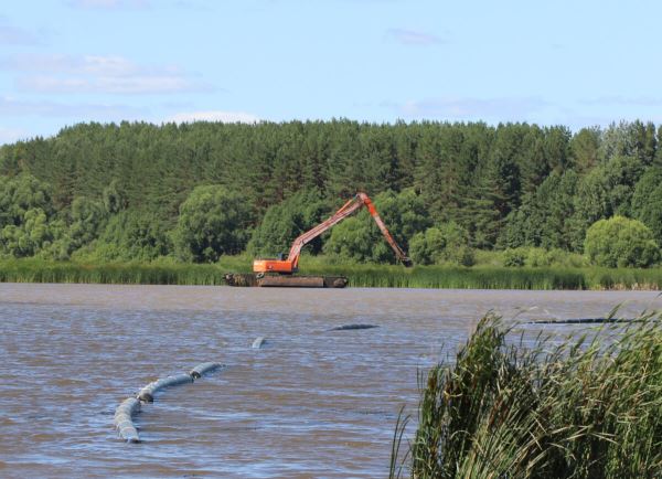 Пляж и рыбхозяйство – вместо камышового озера